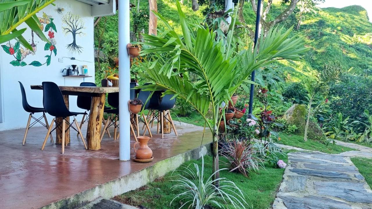 Minca Sintropia - Sustainable Lodge & Organic Coffee Finca Buitenkant foto