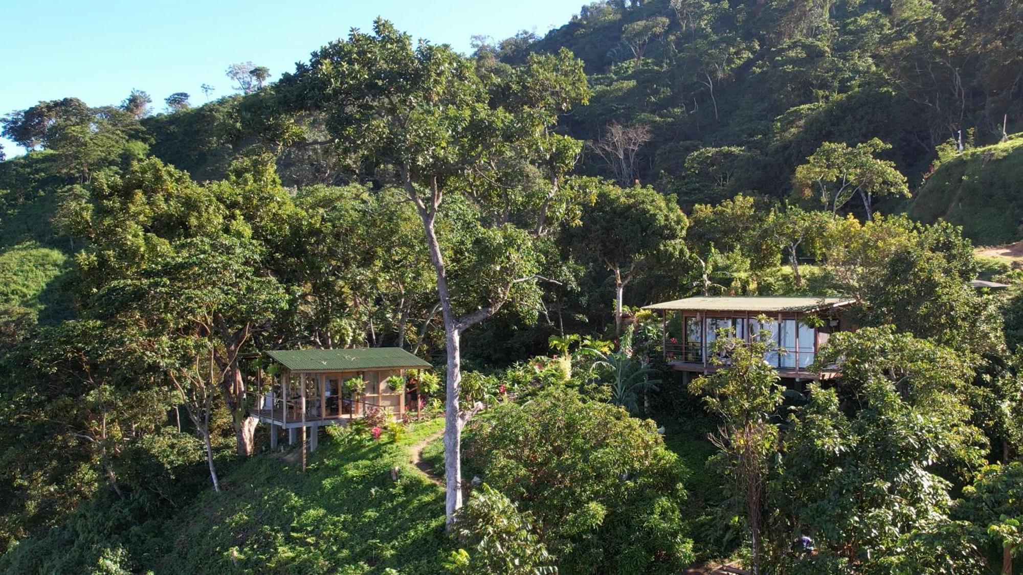Minca Sintropia - Sustainable Lodge & Organic Coffee Finca Buitenkant foto