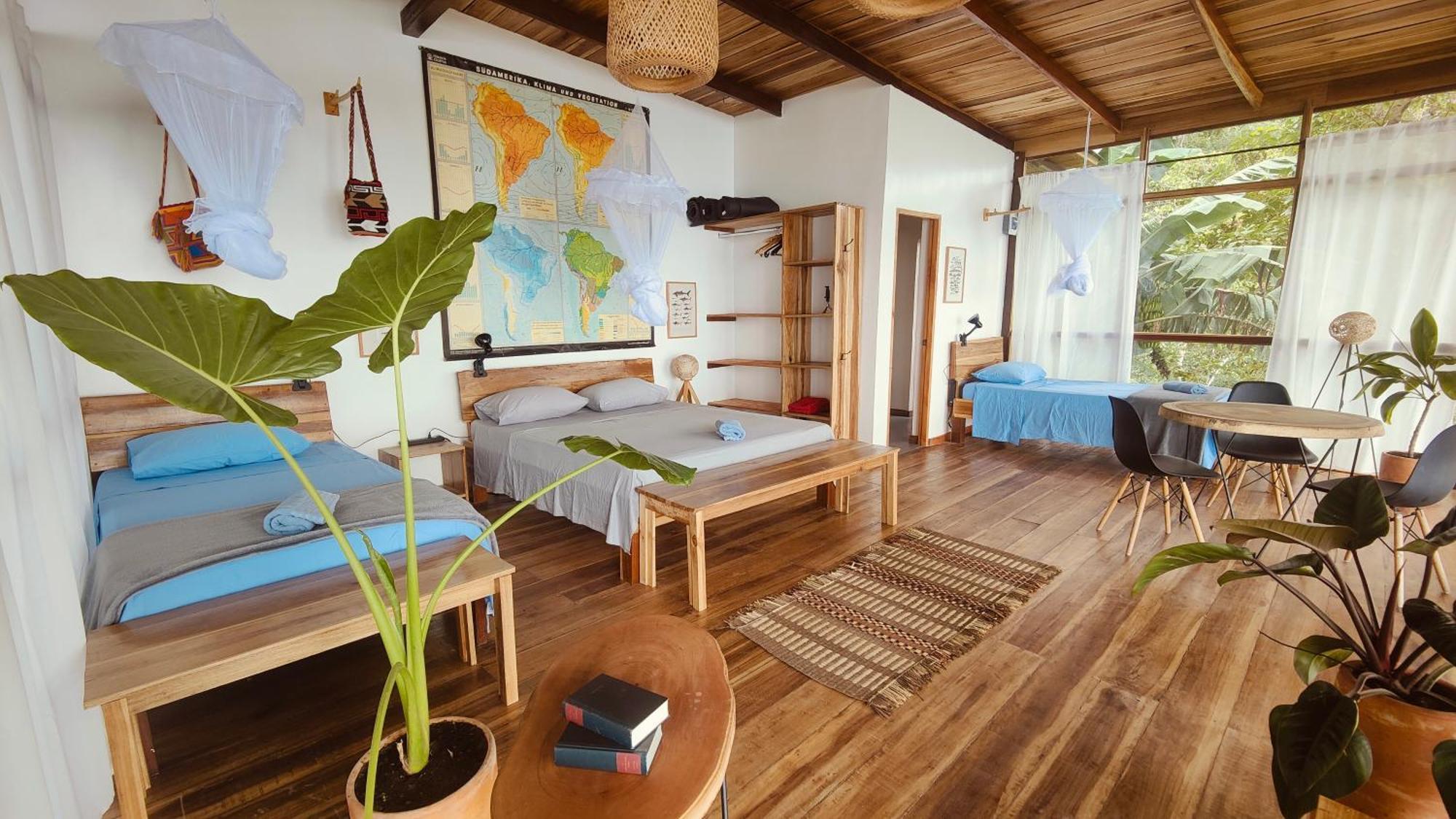 Minca Sintropia - Sustainable Lodge & Organic Coffee Finca Buitenkant foto